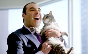 Suits: Nigel's Cat