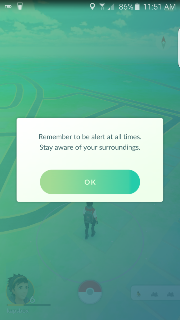 pokemon warning- safety